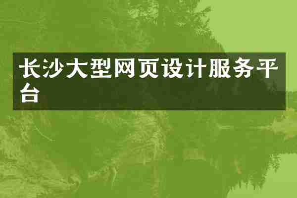 长沙大型网页设计服务平台