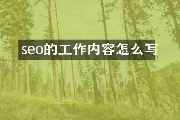 seo的工作内容怎么写