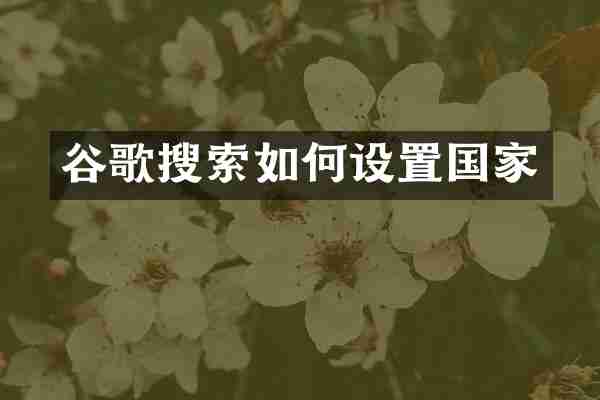 谷歌搜索如何设置国家
