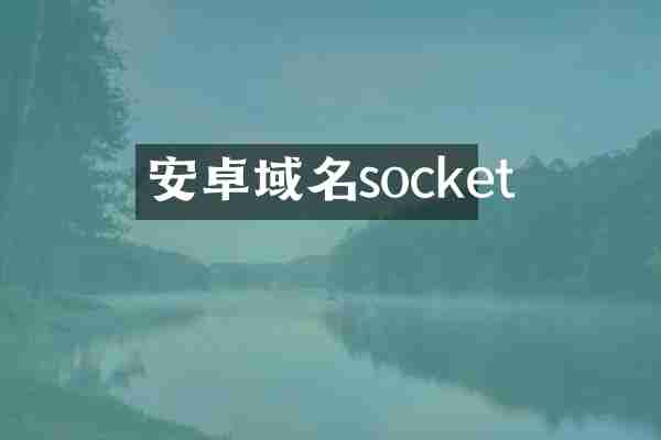 安卓域名socket