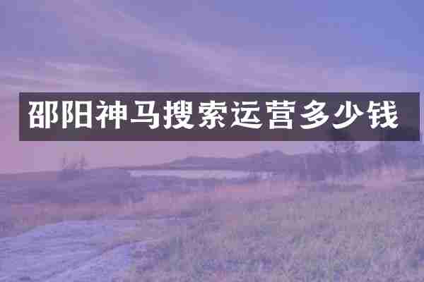 邵阳神马搜索运营多少钱