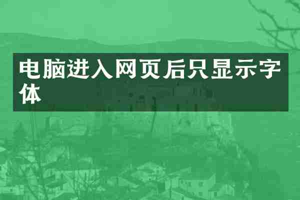 电脑进入网页后只显示字体