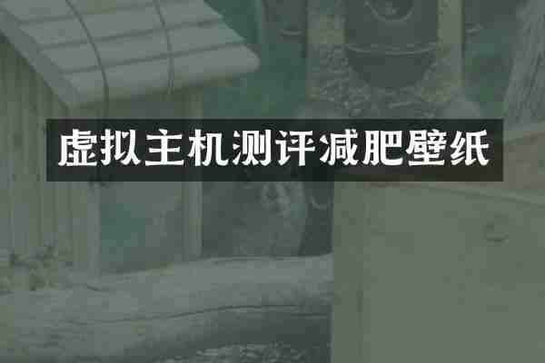 虚拟主机测评减肥壁纸