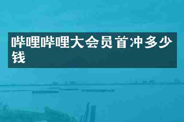 哔哩哔哩大会员首冲多少钱