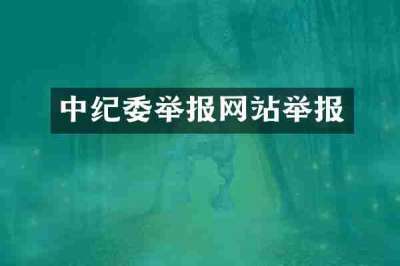 中纪委举报网站举报