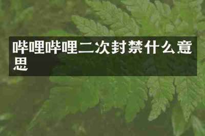 哔哩哔哩二次封禁什么意思