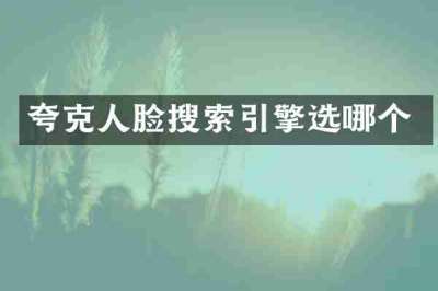 夸克人脸搜索引擎选哪个