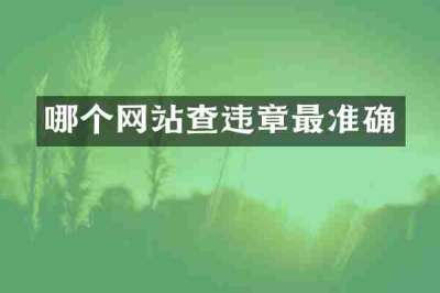 哪个网站查违章最准确