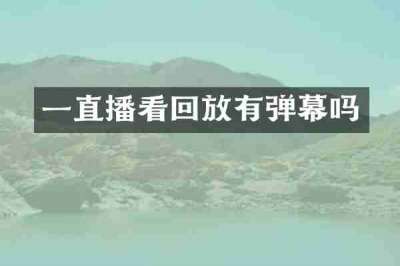 一直播看回放有弹幕吗