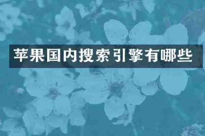 苹果国内搜索引擎有哪些