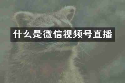什么是微信视频号直播