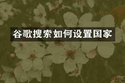 谷歌搜索如何设置国家