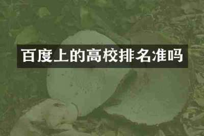百度上的高校排名准吗