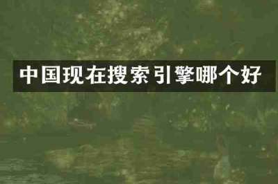 中国现在搜索引擎哪个好