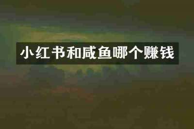 小红书和咸鱼哪个赚钱