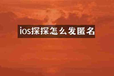 ios探探怎么发匿名
