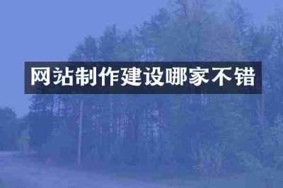 网站制作建设哪家不错