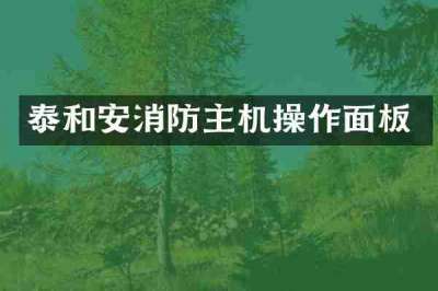 泰和安消防主机操作面板