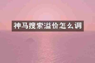 神马搜索溢价怎么调