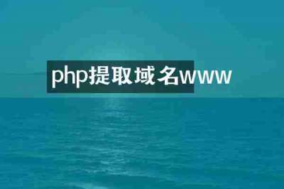 php提取域名www