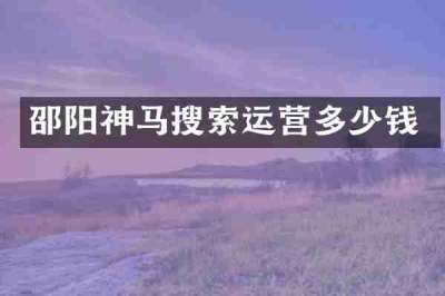邵阳神马搜索运营多少钱