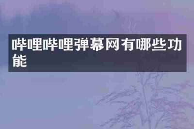 哔哩哔哩弹幕网有哪些功能
