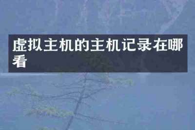 虚拟主机的主机记录在哪看