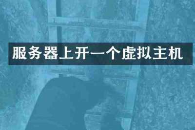 服务器上开一个虚拟主机