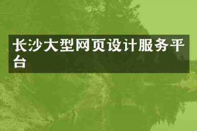 长沙大型网页设计服务平台