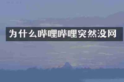 为什么哔哩哔哩突然没网