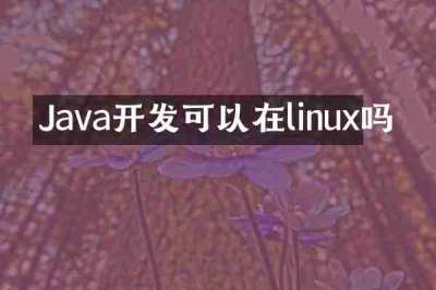 Java开发可以在linux吗