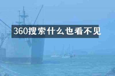 360搜索什么也看不见