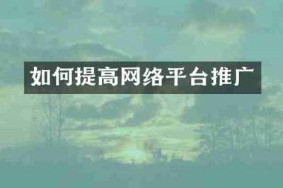 如何提高网络平台推广