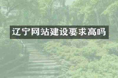 辽宁网站建设要求高吗