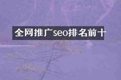 全网推广seo排名前十