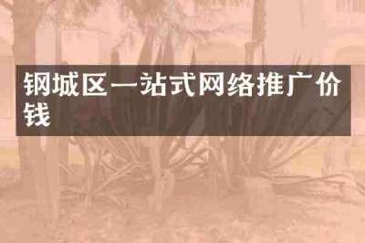 钢城区一站式网络推广价钱