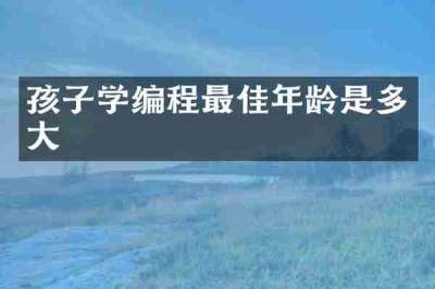 孩子学编程最佳年龄是多大