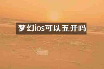 梦幻ios可以五开吗
