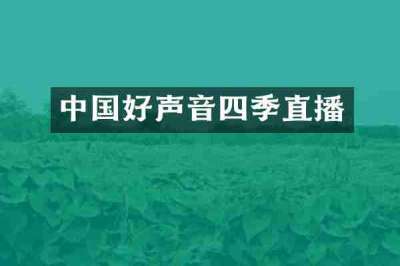 中国好声音四季直播