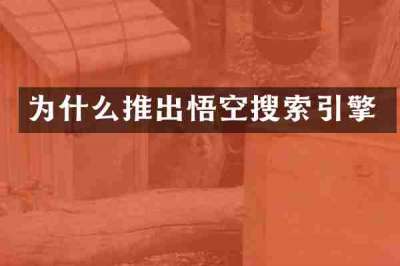 为什么推出悟空搜索引擎