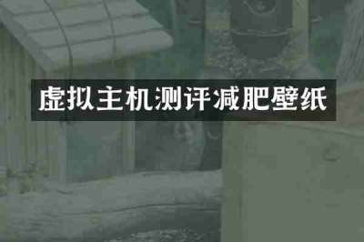 虚拟主机测评减肥壁纸