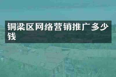 铜梁区网络营销推广多少钱