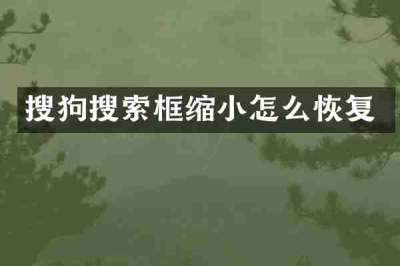 搜狗搜索框缩小怎么恢复