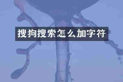 搜狗搜索怎么加字符