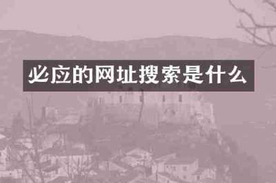 必应的网址搜索是什么