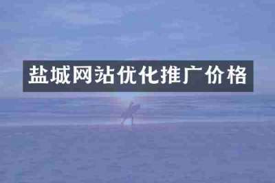 盐城网站优化推广价格