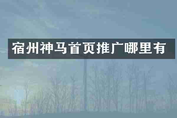 宿州神马首页推广哪里有