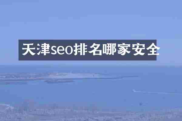 天津seo排名哪家安全