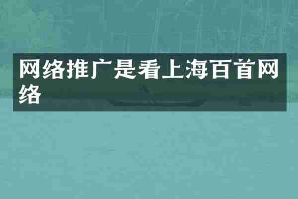 网络推广是看上海百首网络