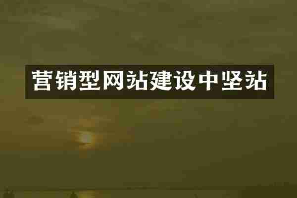 营销型网站建设中坚站